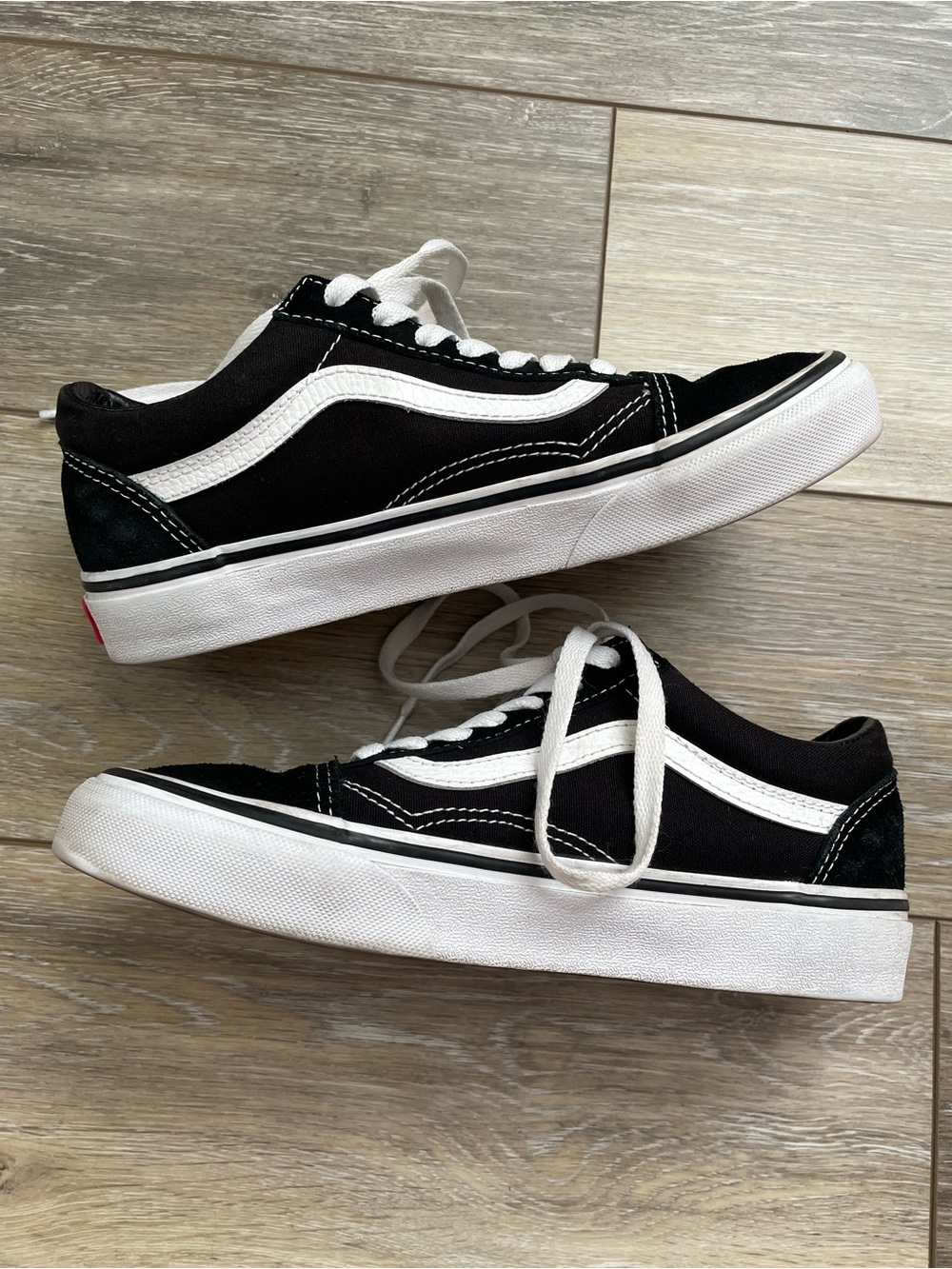 Vans Black & White Low-Top Skate Sneakers